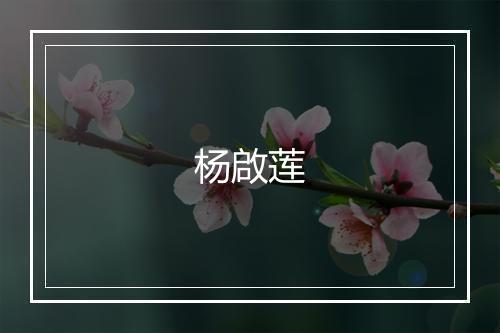 杨啟莲