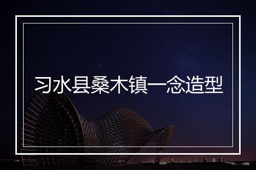 习水县桑木镇一念造型