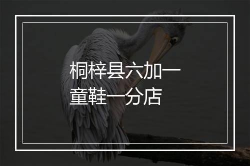 桐梓县六加一童鞋一分店