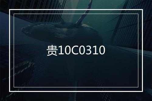 贵10C0310