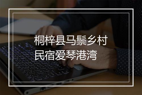 桐梓县马鬃乡村民宿爱琴港湾