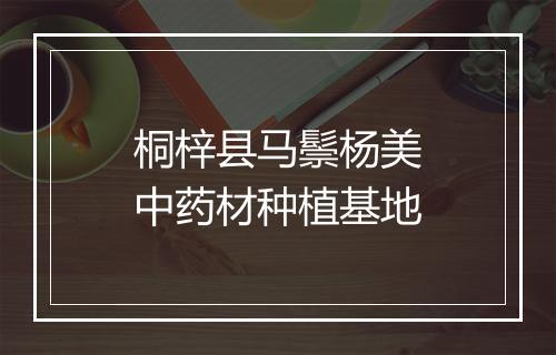 桐梓县马鬃杨美中药材种植基地