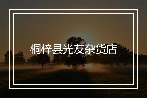 桐梓县光友杂货店