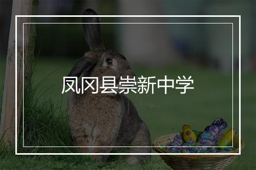 凤冈县崇新中学