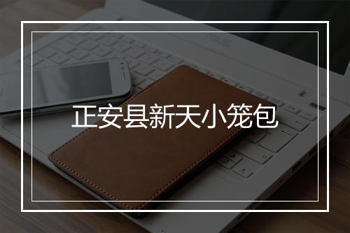 正安县新天小笼包