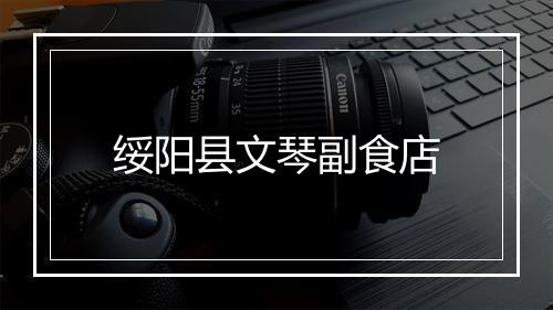 绥阳县文琴副食店