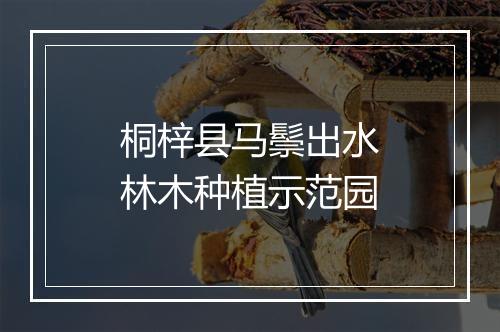 桐梓县马鬃出水林木种植示范园