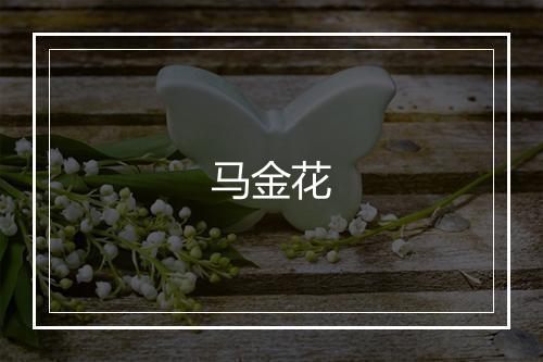 马金花