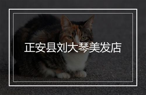 正安县刘大琴美发店