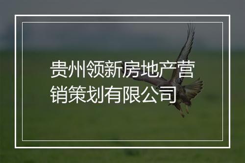 贵州领新房地产营销策划有限公司