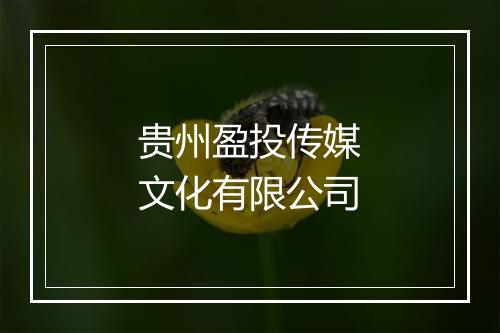 贵州盈投传媒文化有限公司