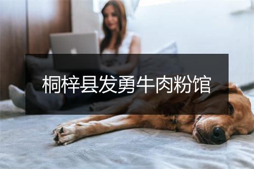 桐梓县发勇牛肉粉馆