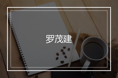 罗茂建