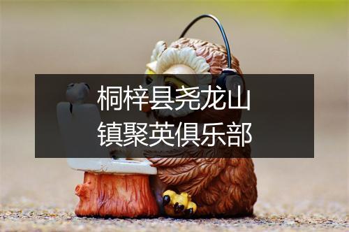 桐梓县尧龙山镇聚英俱乐部