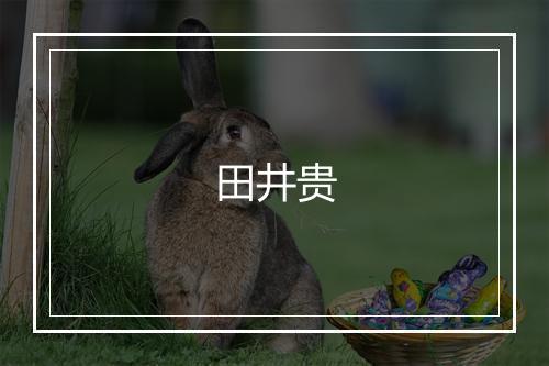 田井贵