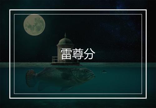 雷尊分