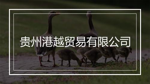 贵州港越贸易有限公司