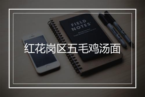 红花岗区五毛鸡汤面