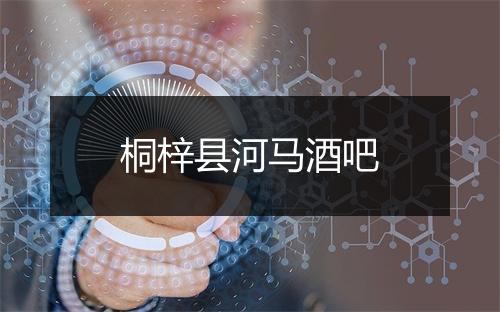 桐梓县河马酒吧