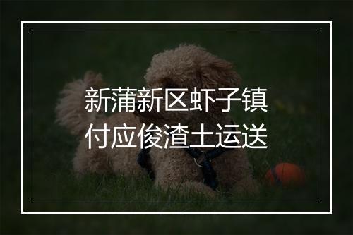 新蒲新区虾子镇付应俊渣土运送