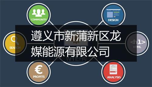 遵义市新蒲新区龙媒能源有限公司