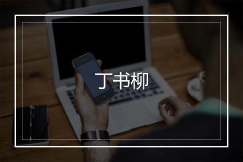 丁书柳