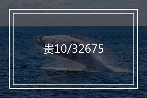 贵10/32675