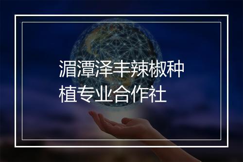 湄潭泽丰辣椒种植专业合作社