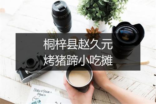 桐梓县赵久元烤猪蹄小吃摊