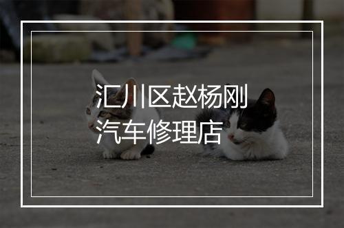 汇川区赵杨刚汽车修理店