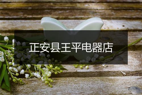 正安县王平电器店