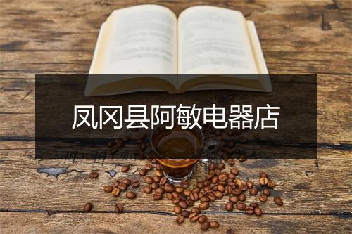 凤冈县阿敏电器店