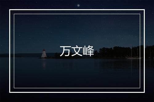 万文峰