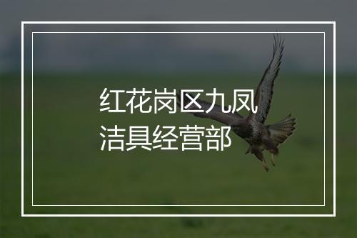 红花岗区九凤洁具经营部