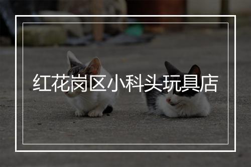 红花岗区小科头玩具店