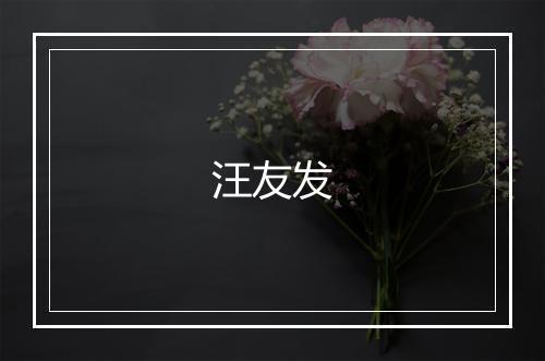 汪友发