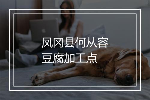 凤冈县何从容豆腐加工点