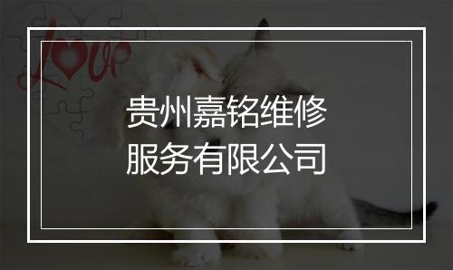 贵州嘉铭维修服务有限公司