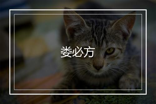 娄必方