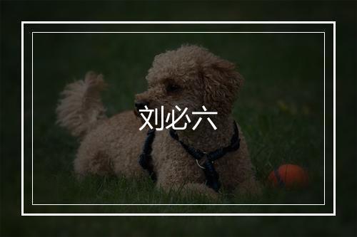 刘必六