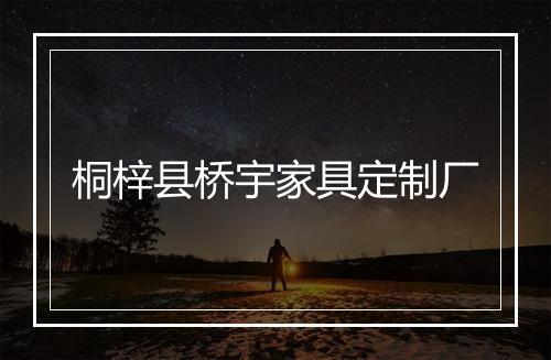 桐梓县桥宇家具定制厂