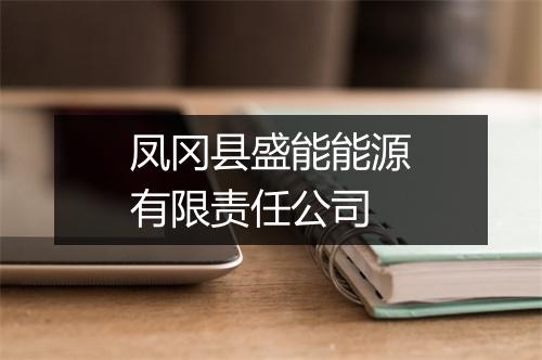 凤冈县盛能能源有限责任公司