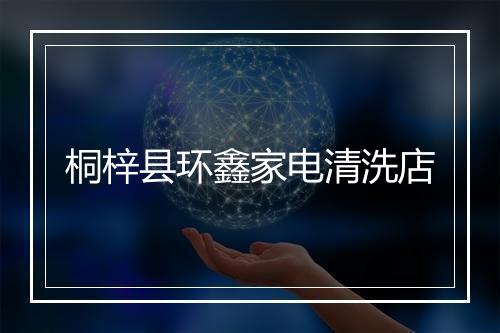桐梓县环鑫家电清洗店