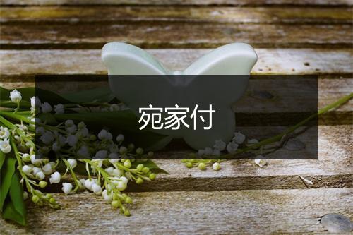 宛家付