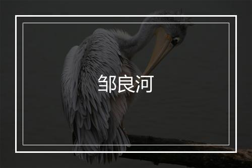 邹良河