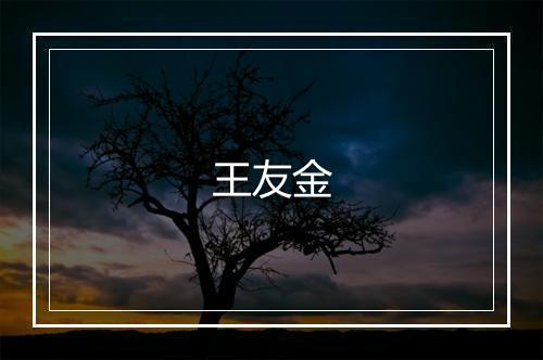 王友金