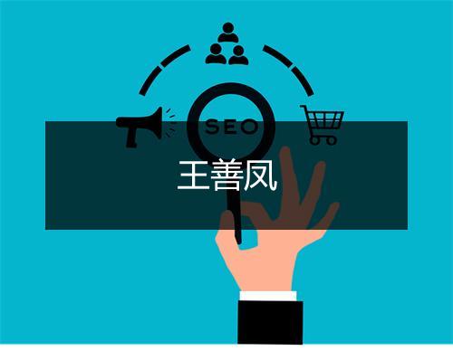 王善凤