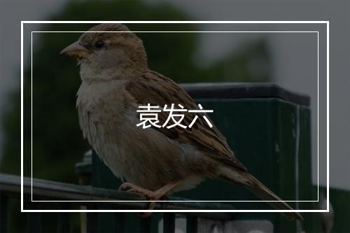 袁发六