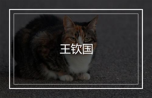 王钦国