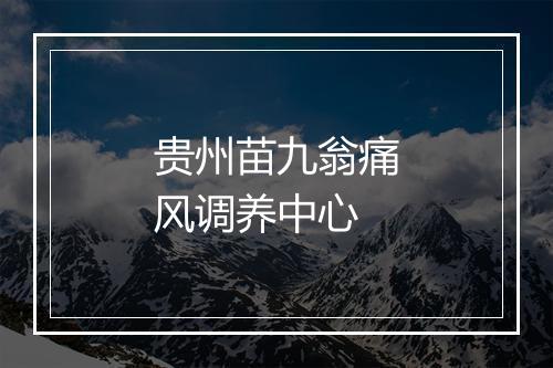 贵州苗九翁痛风调养中心